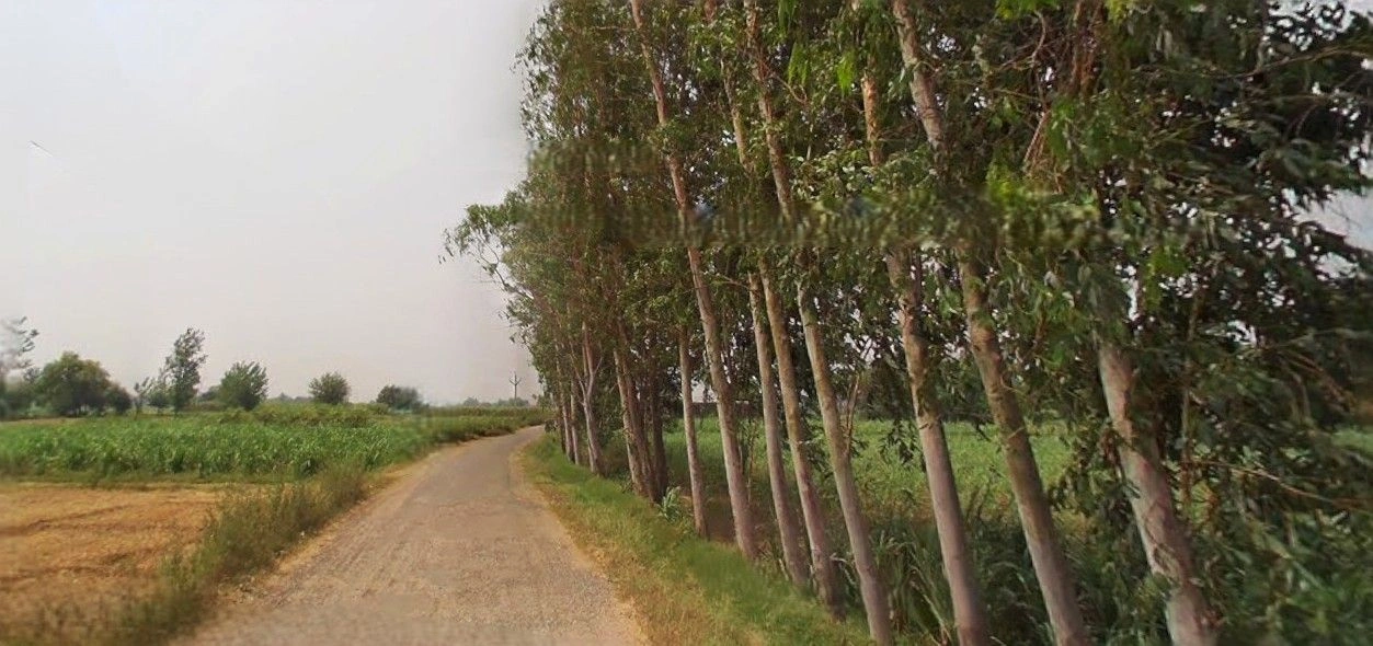 Lalganj, Uttar Pradesh 229206, India