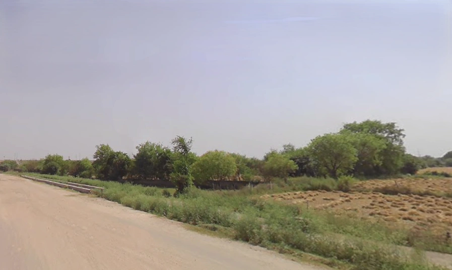 Sector 80, Noida, Uttar Pradesh 201305, India