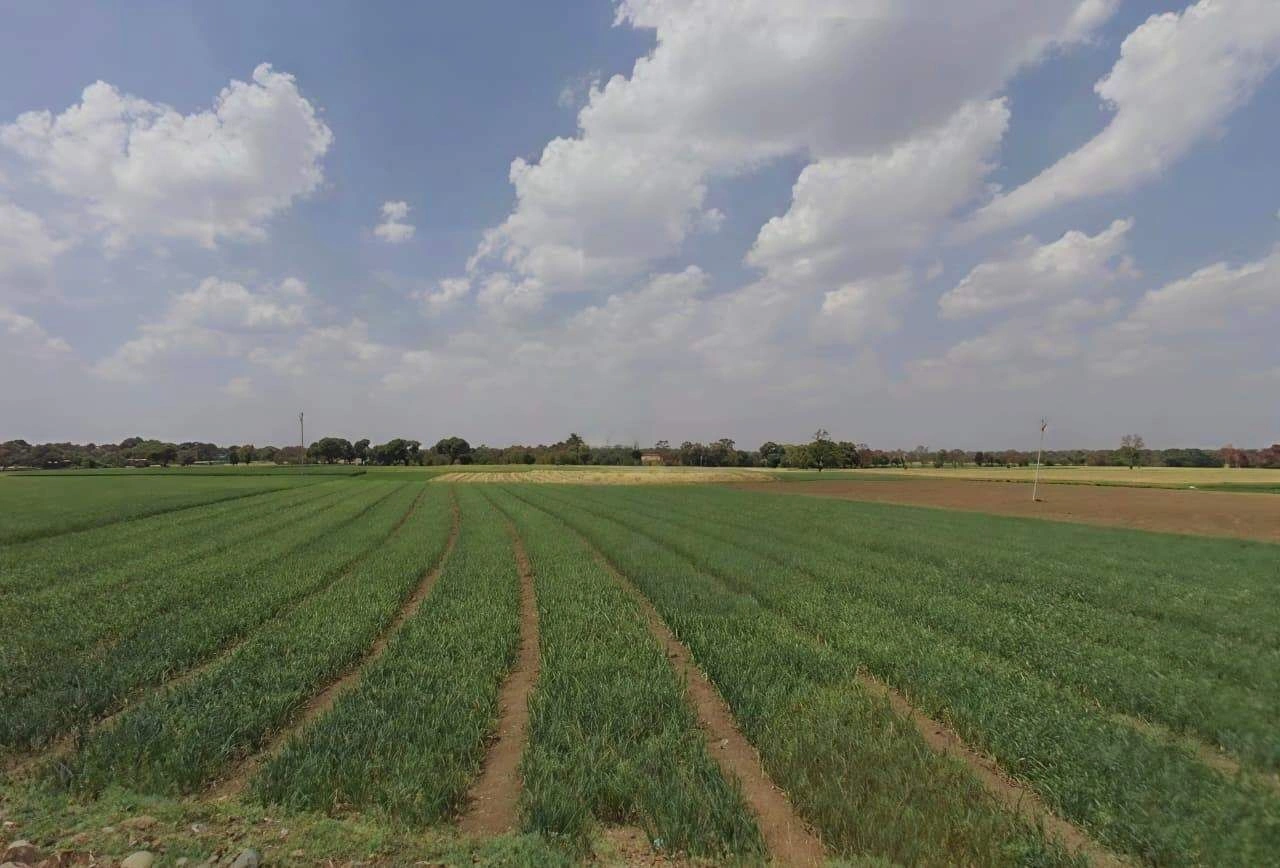 Khategaon, Madhya Pradesh 455336, India