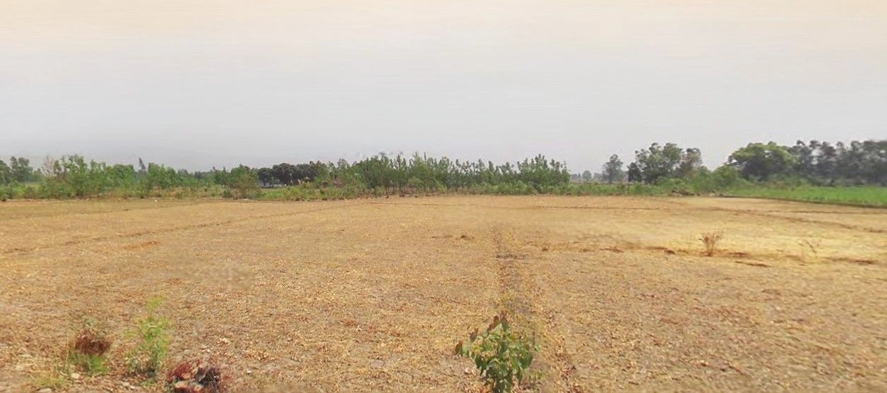 Khurja, Uttar Pradesh 203131, India