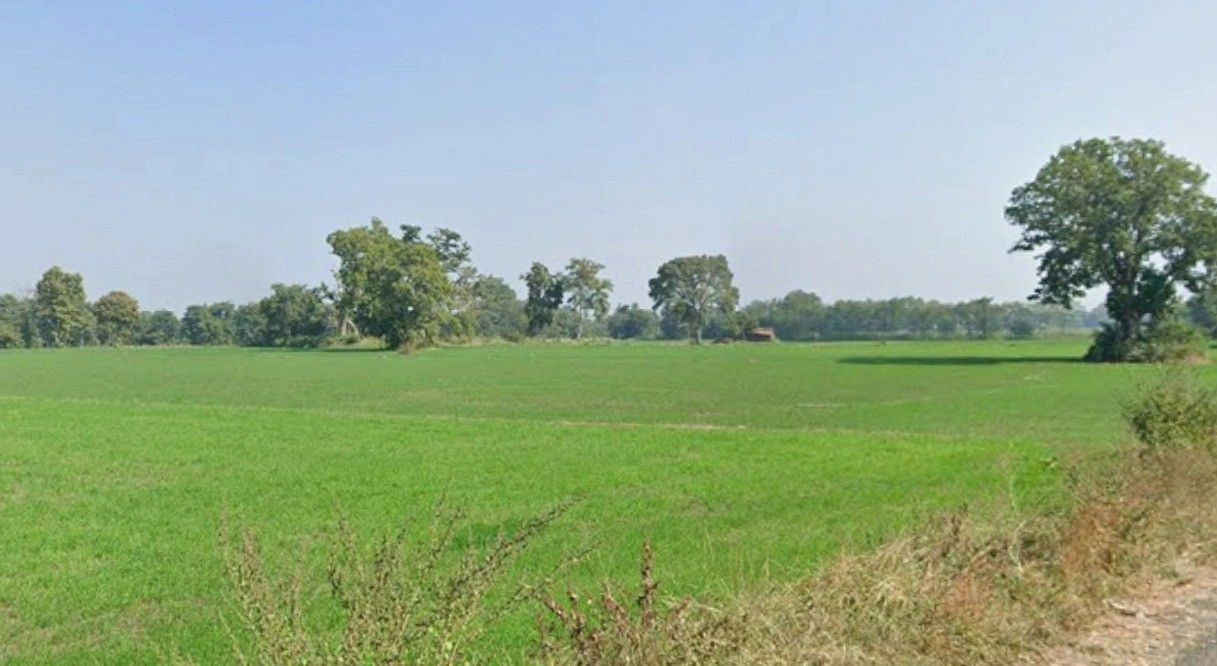 8Q68+H8P, Panbihar, Madhya Pradesh 456006, India