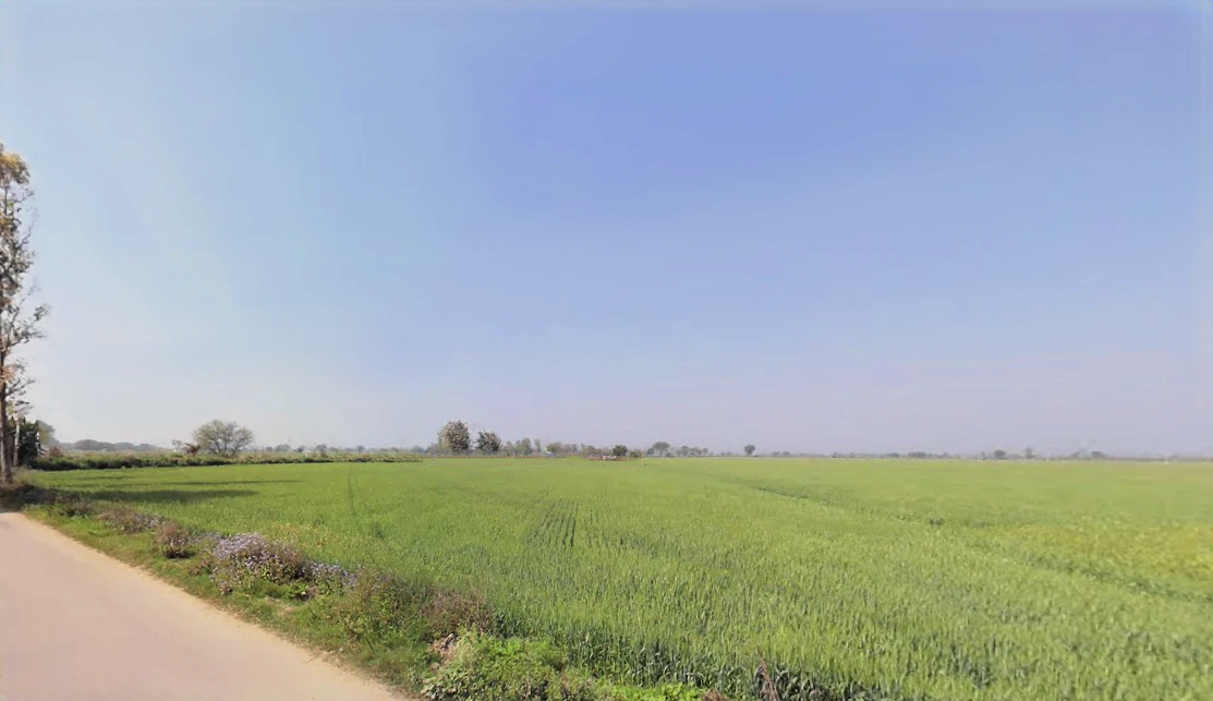 Sheikhpura, Haryana 131101, India