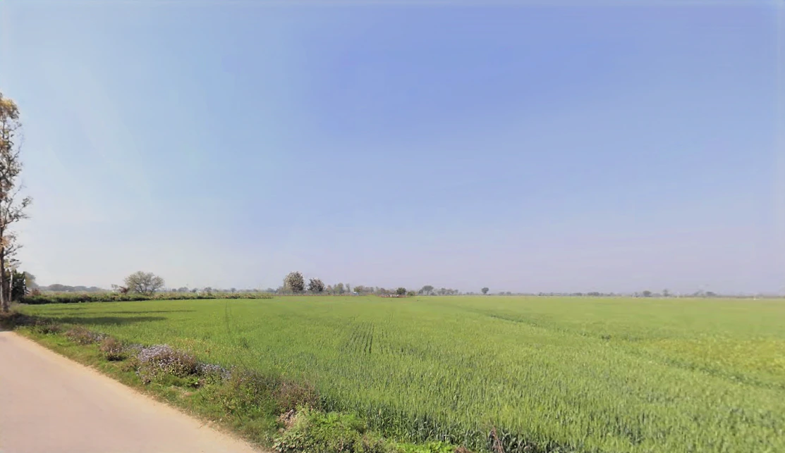 Sheikhpura, Haryana 131101, India