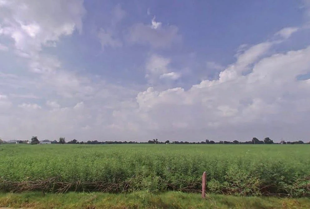 628R+63R, Sonkhar Rural, Rajasthan 321606, India