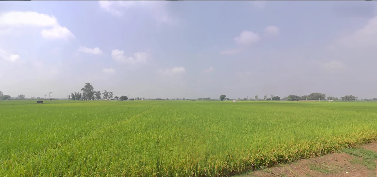 Bazpur, Uttarakhand 262401, India preview 2