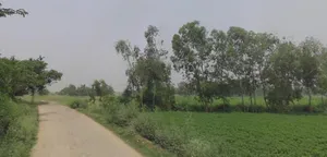 Moradabad - Sambhal Rd, Sirsi, Uttar Pradesh, India preview 3