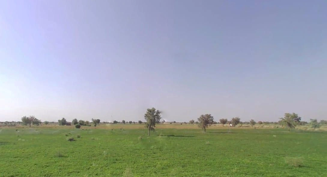 Jobner, Rajasthan, India