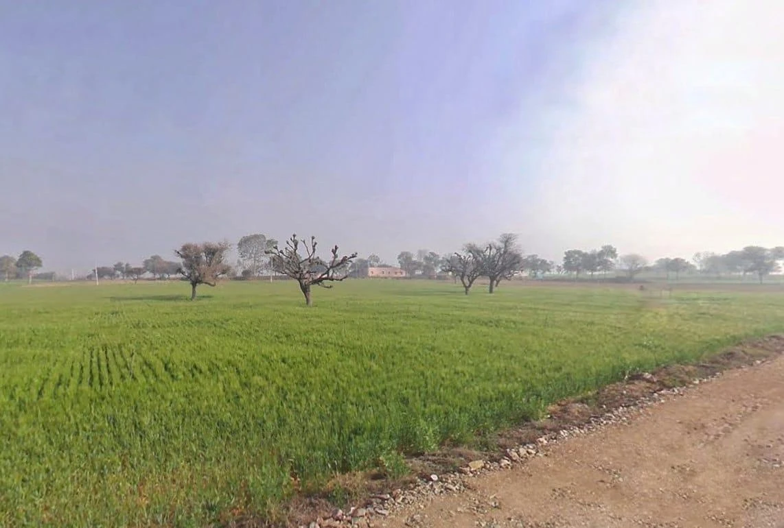 Lamiyan, Rajasthan, India