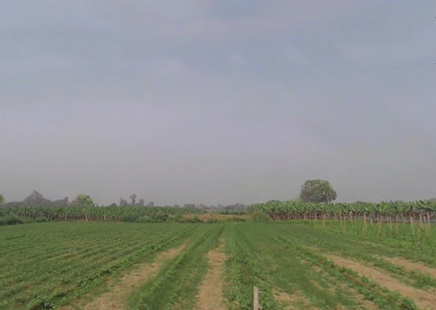 Gohanakalan, Uttar Pradesh, India