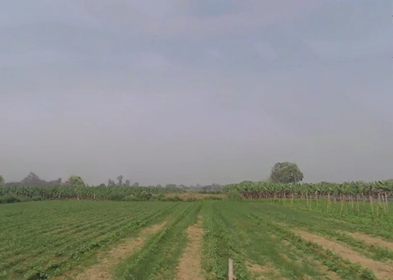 Gohanakalan, Uttar Pradesh, India preview 3