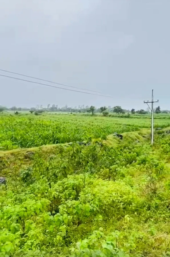 Gautampura, Madhya Pradesh 453220, India