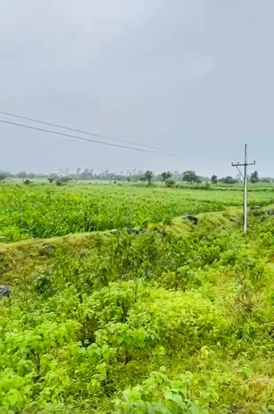 Gautampura, Madhya Pradesh 453220, India preview 3