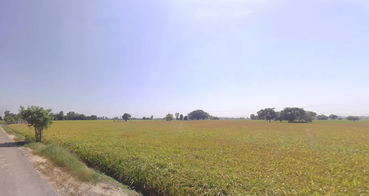 Domjur, Howrah, West Bengal, India