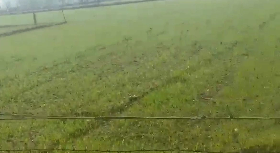 Dastampur, Jewar, Gautam Buddha Nagar, Uttar Pradesh, India