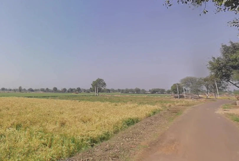 Bahadurpur, Rajasthan 301409, India