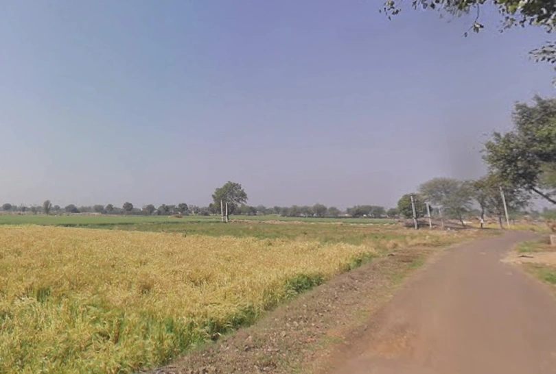 Bahadurpur, Rajasthan 301409, India