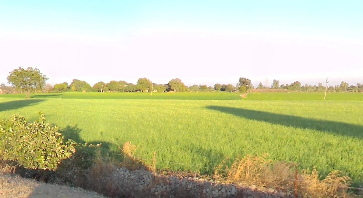 F26Q+PJC, Nanded, Madhya Pradesh 456668, India