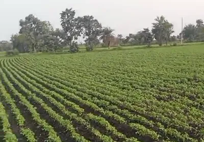 VXWQ+6G4, Dewas, Sukliya, Madhya Pradesh 455001, India preview 2