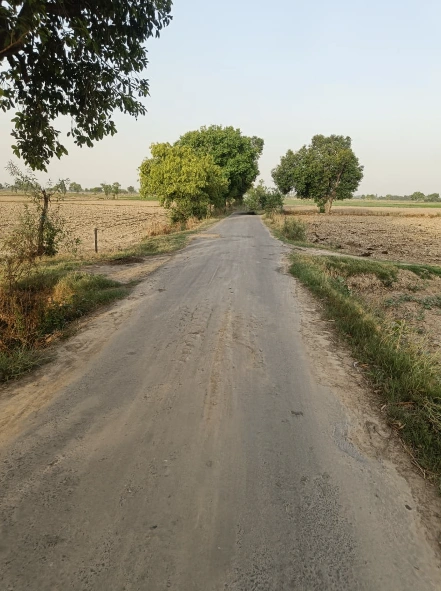 Sardulgarh, Punjab 151507, India