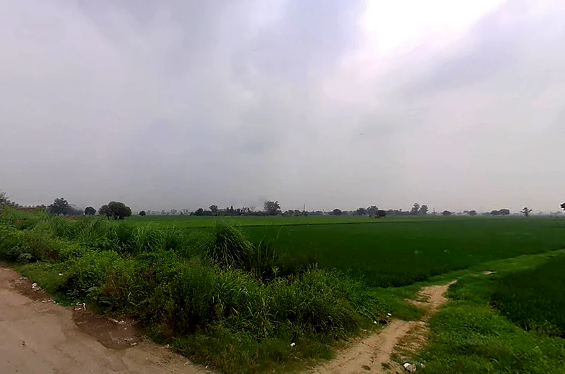 Nilokheri, Haryana 132117, India preview 2