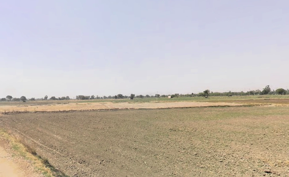 Pirthla, Haryana, India