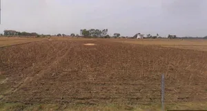 Lucknow, Uttar Pradesh, India preview 3