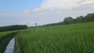 Saharanpur, Uttar Pradesh, India preview 2