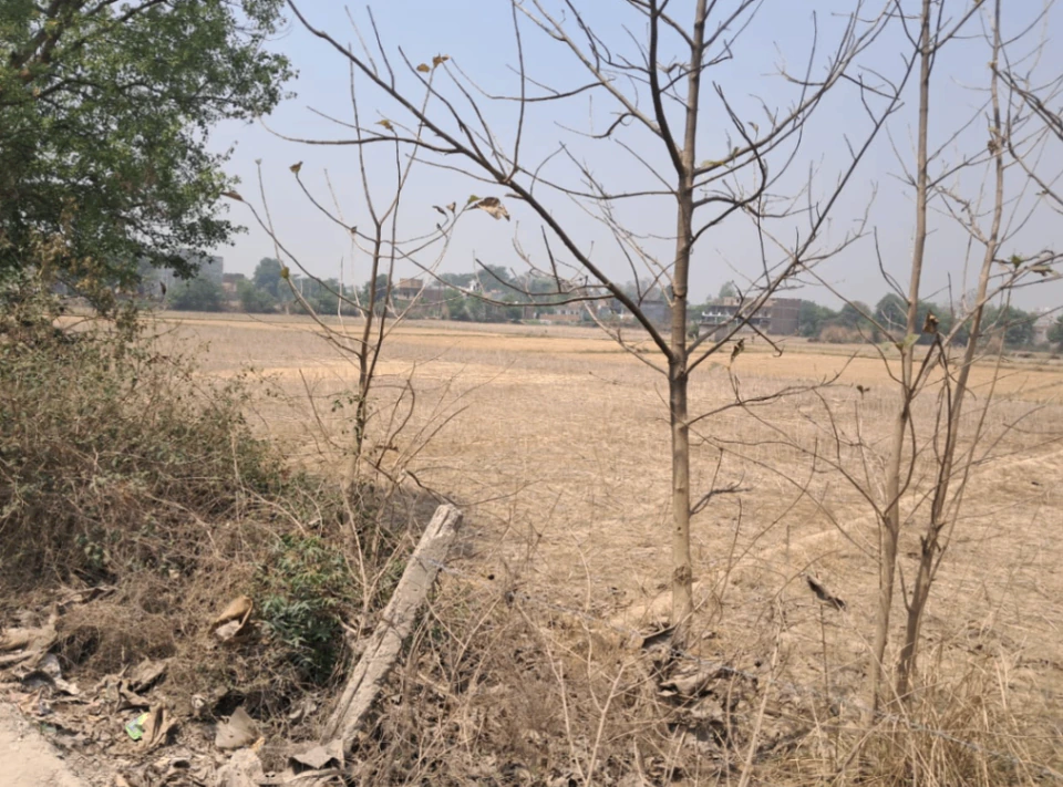 Kharar, Punjab 140301, India