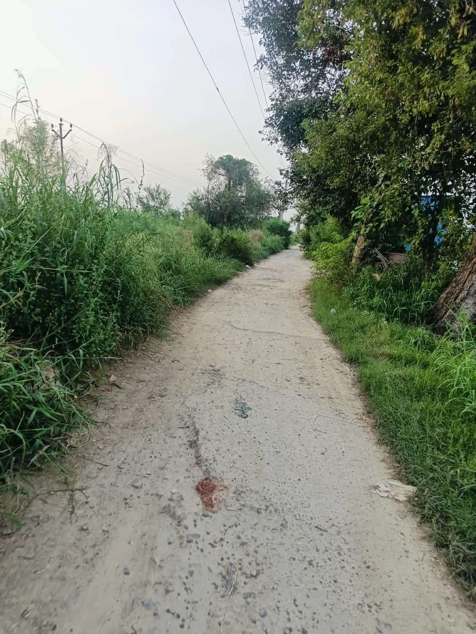 Borpa, Mathura, Uttar Pradesh, India