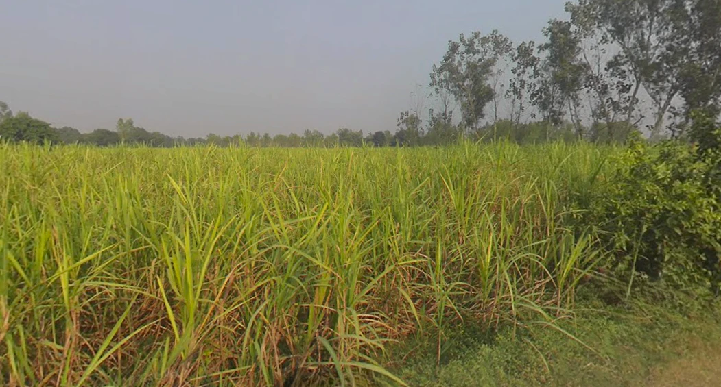 Tajpur, Uttar Pradesh 246735, India