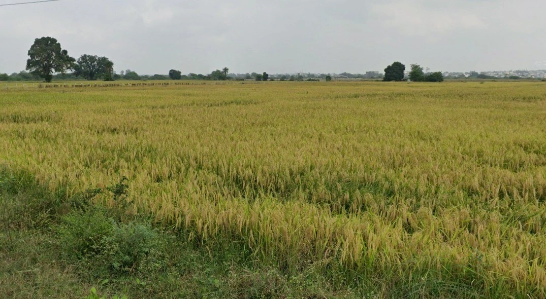 4FXV+2MR, NH 46, Indus Towne, Ratanpur Sadak, Bhopal, Madhya Pradesh 462047, India