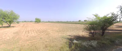 Mubarikpur, Rajasthan 301025, India preview 2