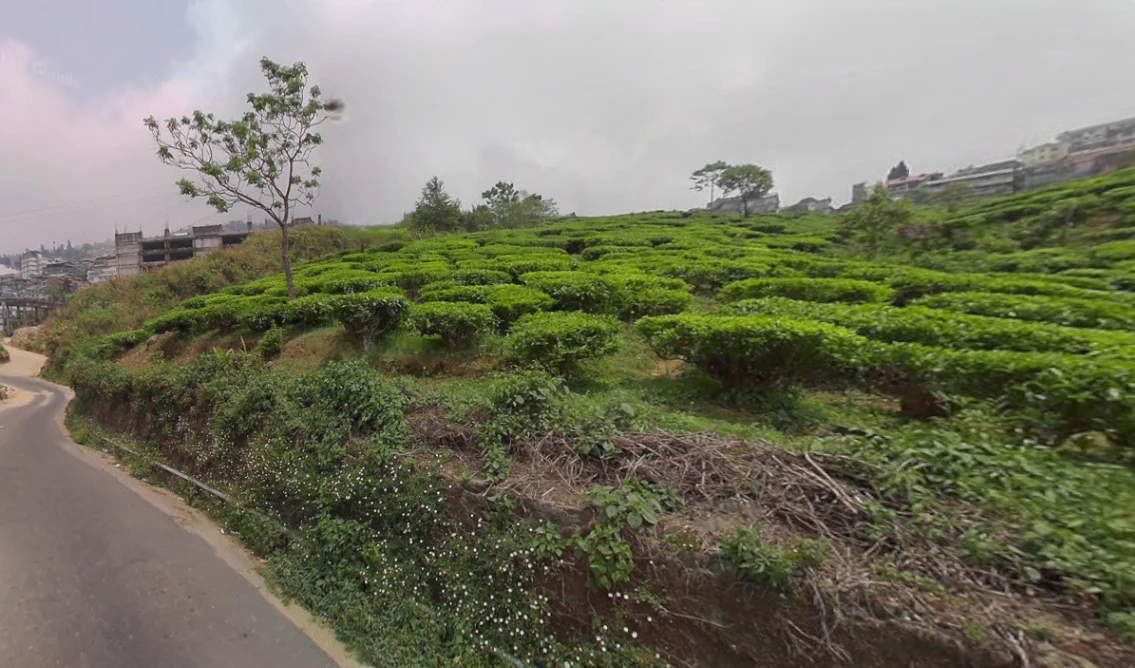 Kurseong, West Bengal, India