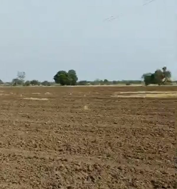 Suhela, Chhattisgarh 493195, India