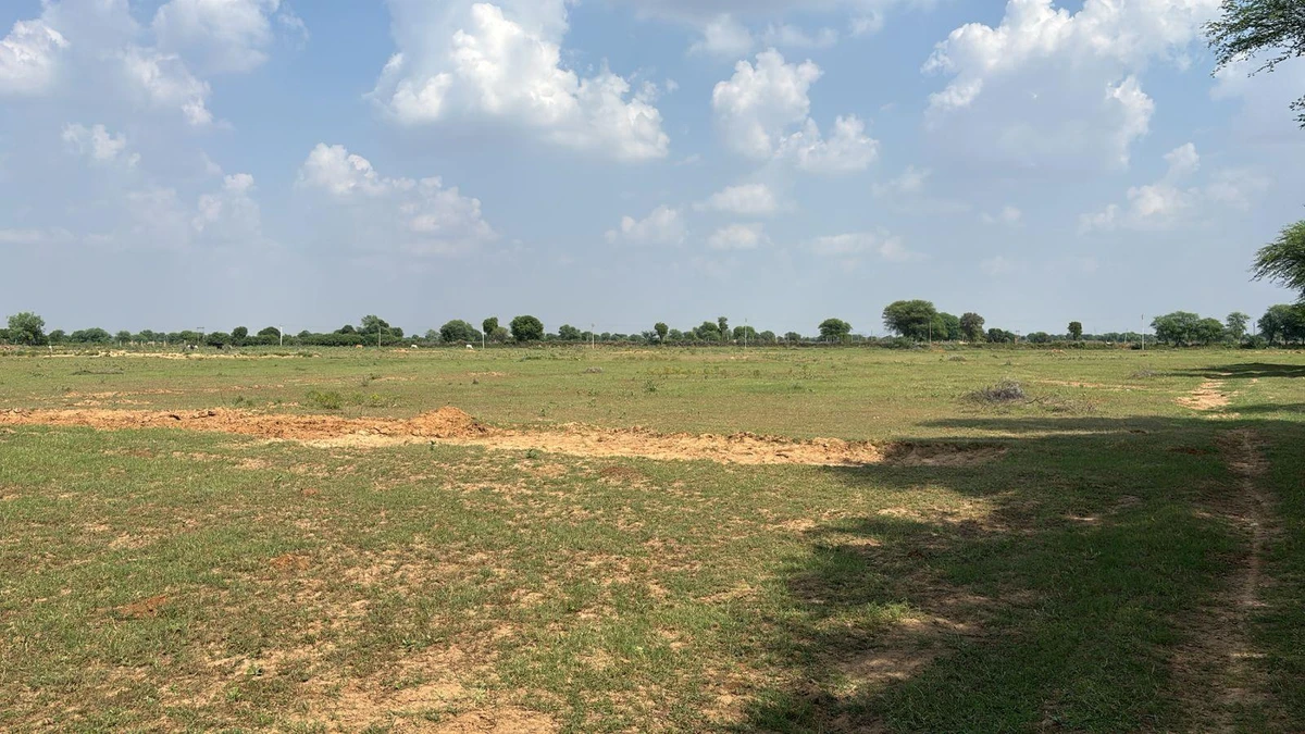Potli, Rajasthan 303305, India
