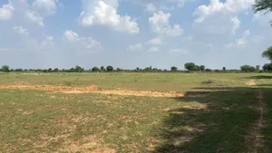 Potli, Rajasthan 303305, India preview 2