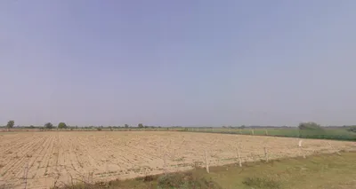 Alusna, Gujarat 384440, India preview 2