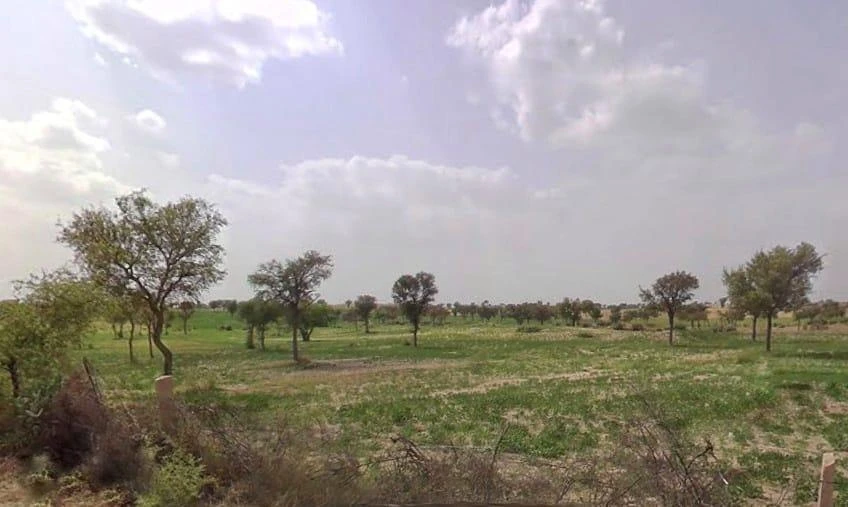 Bhanipura, Rajasthan 331411, India