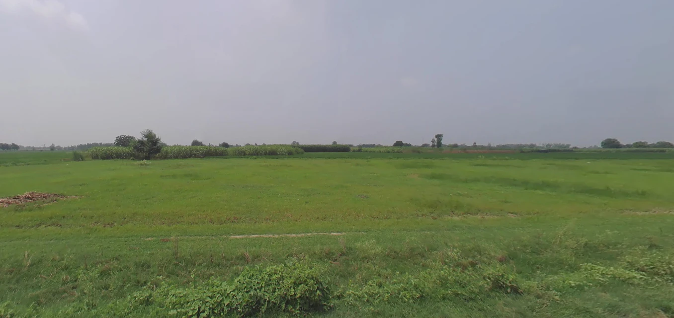 Khanpur, Uttar Pradesh 203405, India