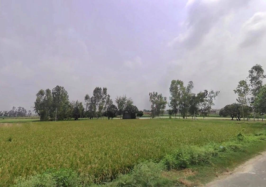 00, Nakur, Uttar Pradesh 247342, India