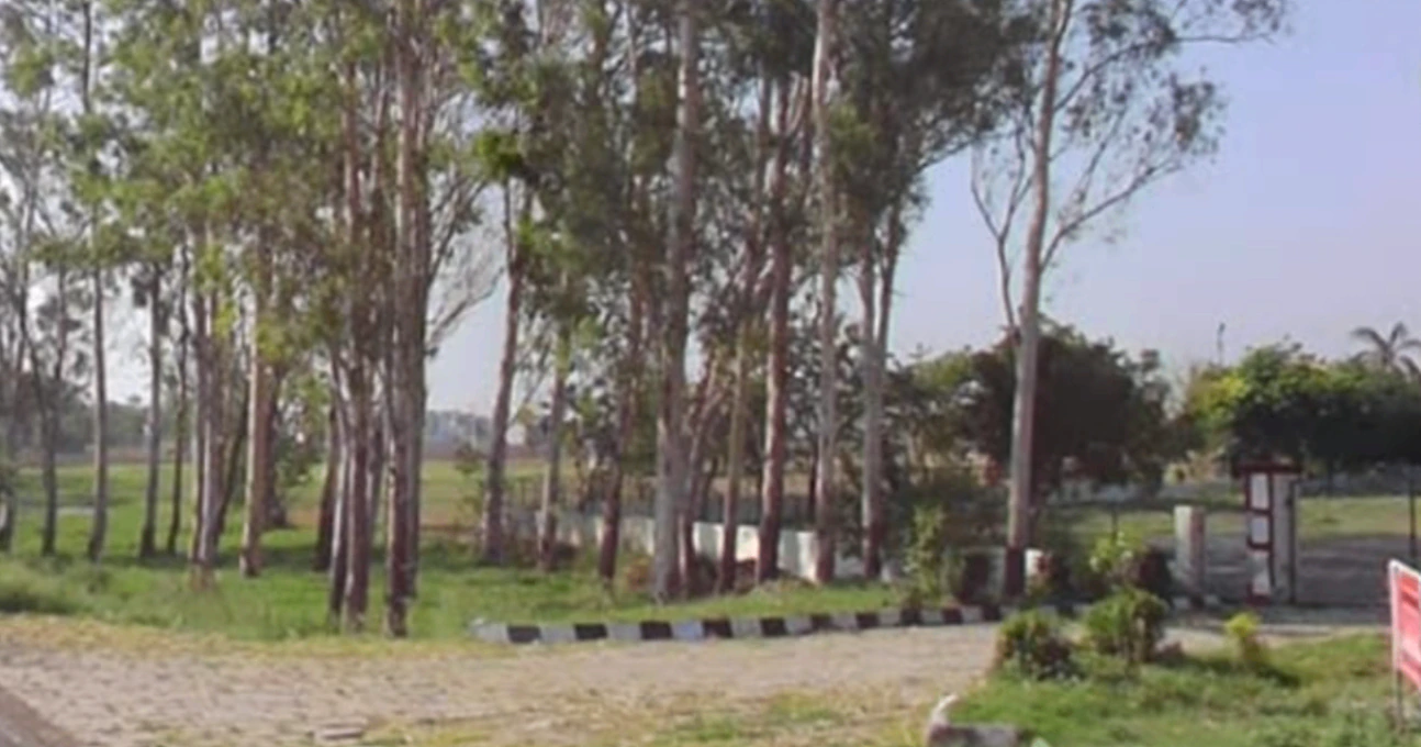 GGQ3+7FW agm park, Patiala, Punjab 140402, India