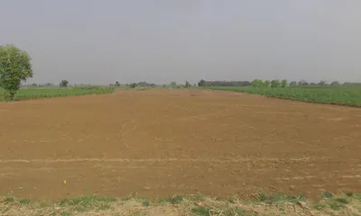 Bisola, Uttar Pradesh, India preview 2