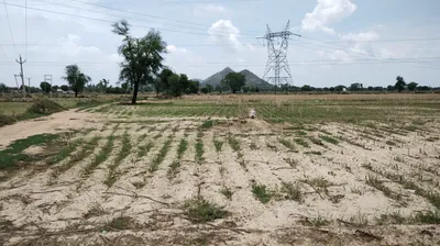 Barnagar, Madhya Pradesh 456771, India preview 3