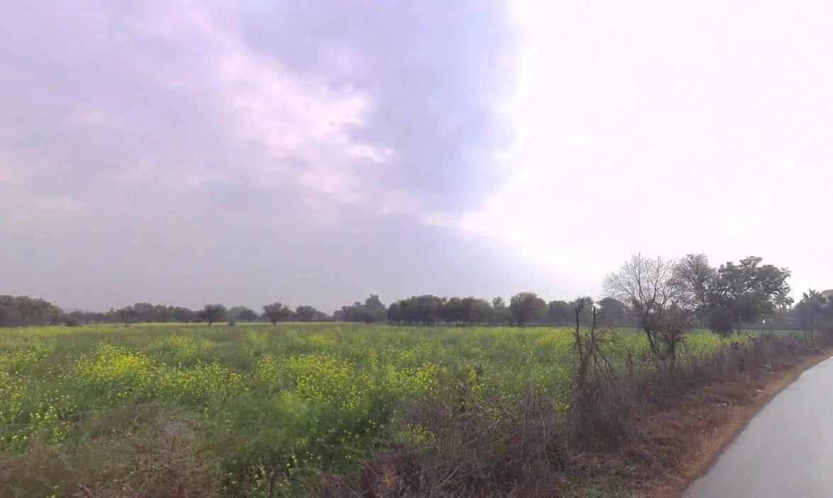 Machari, Rajasthan 301408, India preview 2