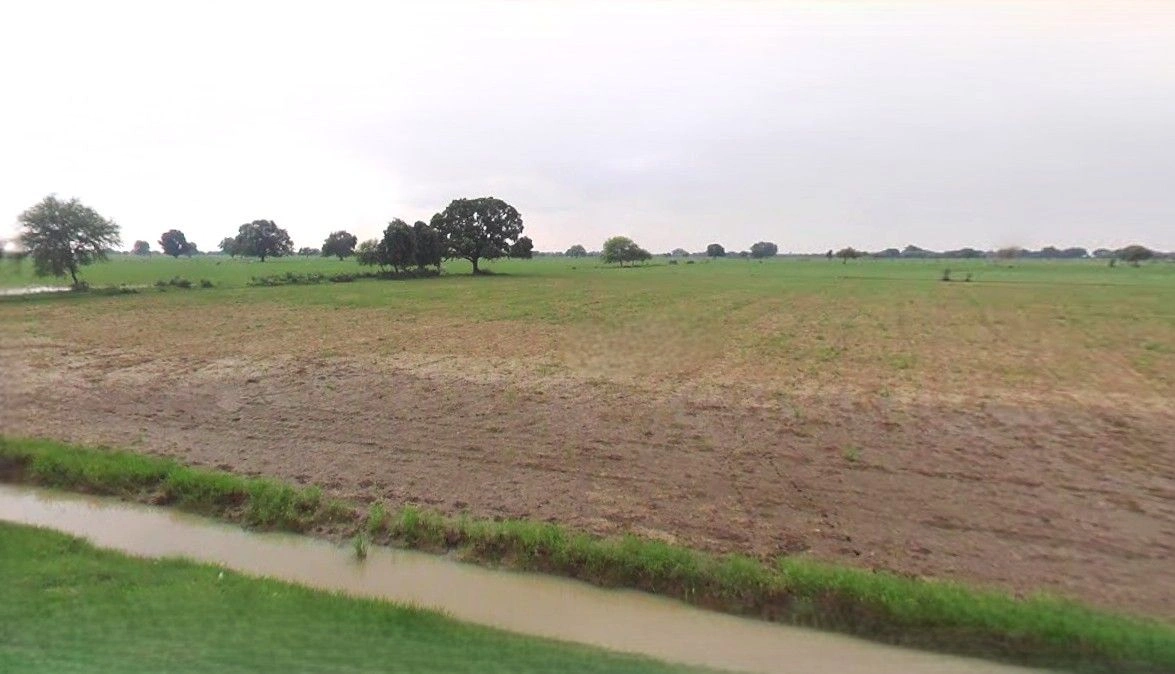 Rewari, Haryana 123401, India