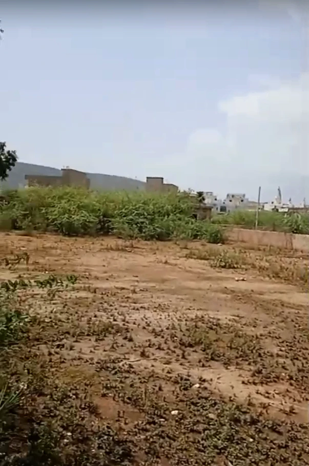 38Q7+2H9, Patti Beena, Rajasthan 301410, India