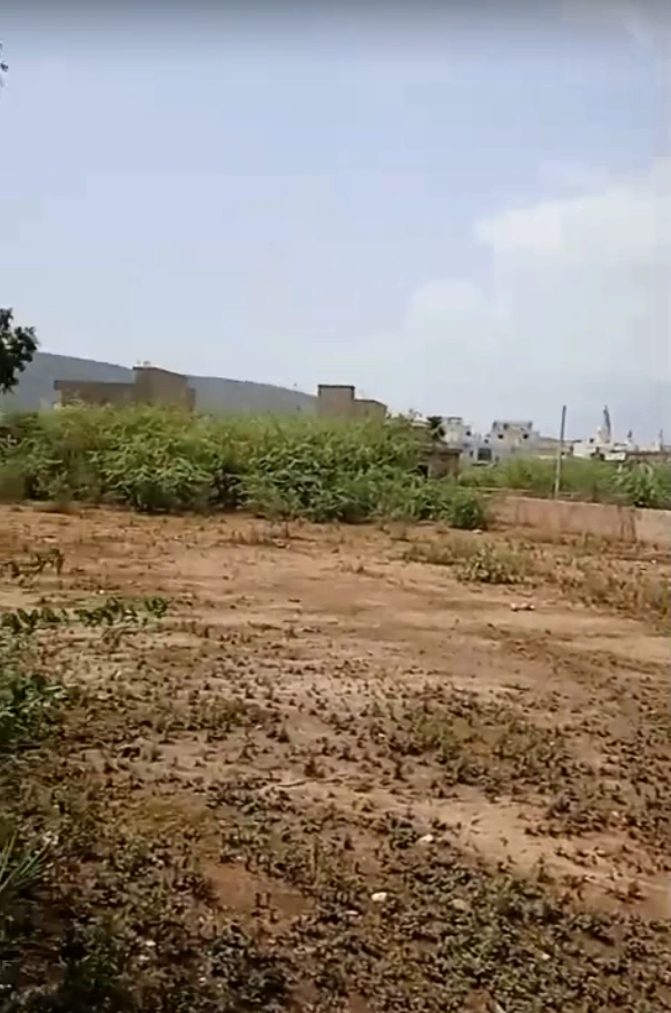 38Q7+2H9, Patti Beena, Rajasthan 301410, India
