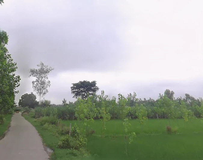 Budhana - Muzaffarnagar Rd, Muzaffarnagar, Uttar Pradesh, India