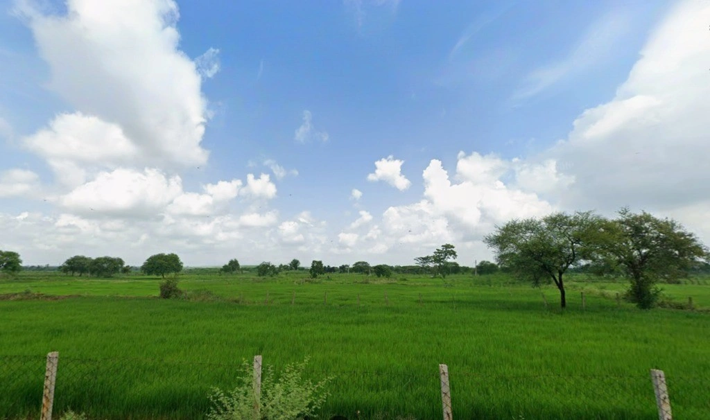 Birejhar, Chhattisgarh 493663, India