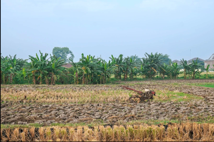 Borawan, Madhya Pradesh 451228, India